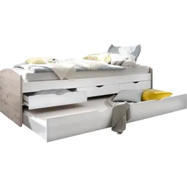 Begabino Kojenbett Nessi Sandeiche/weiß