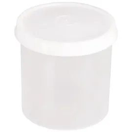 Hünersdorff Aufbewahrungsbox Kunststoff 1000 ml Transparent