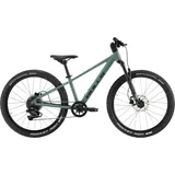 Bulls Tokee Disc 24'' 9-Gang grün 2026 - 24" - Onesize