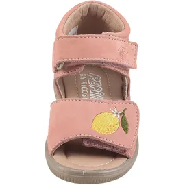 Pepino Mimi Rosa 22
