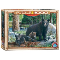 EUROGRAPHICS Puzzle »Puzzles 501 bis 1000 Teile 6000-0793«, Puzzleteile bunt