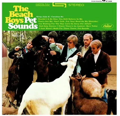 Pet Sounds (Stereo 180g Vinyl Reissue)