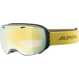Alpina Big Horn MM grey-curry, gold spherical (A7207821)