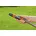 19 mm (3/4) (18214-20)