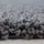Ayyildiz Life Shaggy 1500 Hochflorteppich 300 x 400 cm grau