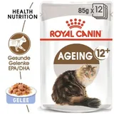 Royal Canin Ageing +12 in Gelee 24 x 85 g