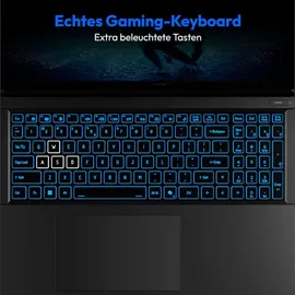 Medion Erazer Defender P50 17,3'' Intel Core i5-13420H 16 GB RAM 512 GB SSD RTX 4060