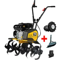TEXAS Set 535TG", schwarz, Motorhacken, 4 kW/5,4 PS, mit