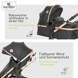 Lorelli Kinderwagen 2 in 1 Viola