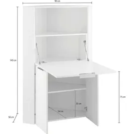 Dmora Eckschreibtisch Gianmaria Weiß / Grau