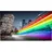 75BFL2214/12 75" 4K LED Professional TV