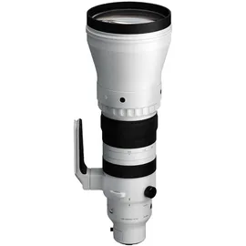 Sigma 300-600 mm F4,0 DG OS Sports Autofokus Sony E-Mount