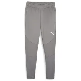 Puma teamFINAL Trainingshose Herren 13 cast iron/silver XL