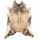 Gino Falcone Teppich Emilia AFT28354 brown 130 x 170 cm Fellform