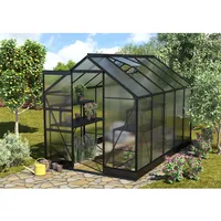 Vitavia Gewächshaus Apollo 6200 Schwarz 6,2 m2 inkl. Fundament