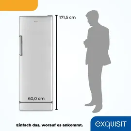 Exquisit KS350-V-H-040D Kühlschrank (331 l, 1715 mm hoch, Inoxlook)