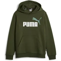 PUMA Kinder Sweatshirt ESS 2 Col Big Logo Hoodi, MYRTLE, 140