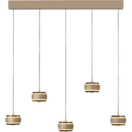 neuhaus pure PURE Falling Rings 5x LED 13 cm eckig braun/schwarz