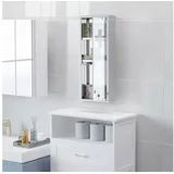 furnicato Medizinschrank Medikamentenschrank 20B x 12T x 58H cm in Silber (1-St) silberfarben