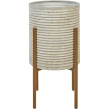 Beliani Alpinus Blumentopf 31 x 58 cm
