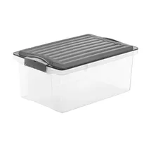 Rotho Aufbewahrungsbox 27,5 x 18 cm 1-tlg. grau