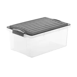 Rotho Aufbewahrungsbox 27,5 x 18 cm 1-tlg. grau