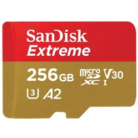 SanDisk 256MB - Extended Capacity SD (MicroSDHC