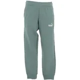 Puma Essentials 2 Color No. 1 Logo Sweatpants FL B Gestrickte Hosen, Green moon