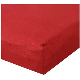 BettwarenShop Spannbettlaken Baumwolle-Jersey-Elasthan 120 x 200 - 130 x 220 cm rot