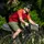 KLICKfix Bikepack Waterproof Lenkertasche grau
