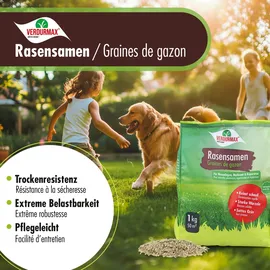 verdurmax® 3x 1 kg VERDURMAX® Rasensamen