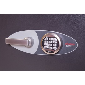 Phoenix Mercury HS2054E / Widerstandsgrad II / LFS 30P Lieferung frei Bordsteinkante