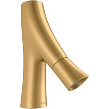 Hansgrohe Starck Organic Standventil Brushed Brass