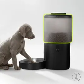 peluvio Crispy Futterautomat mit Timer, ohne App