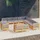 vidaXL Garten-Lounge-Set 14-tlg. grau Kiefer