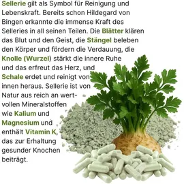 VitalLife Sellerie Kapseln 180 St.