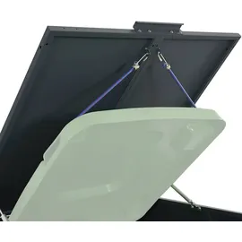 vidaXL Mülltonnenbox 207 x 79 x 117 cm anthrazit