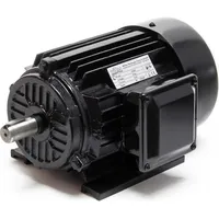 Wiltec Wiltec, Elektromotor, Elektromotor