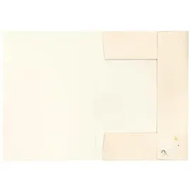 Folia Sammelmappe DIN A3 Rainbows, 1 St.