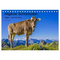 Calvendo Allgäuer Schönheiten Allgäu - Land der Kühe (Tischkalender