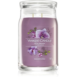Yankee Candle Wild Orchid Wachskerze Zylinder Violett 1 Stück(e)