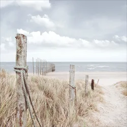 Glasbild OASE DER SINNE II - bunt