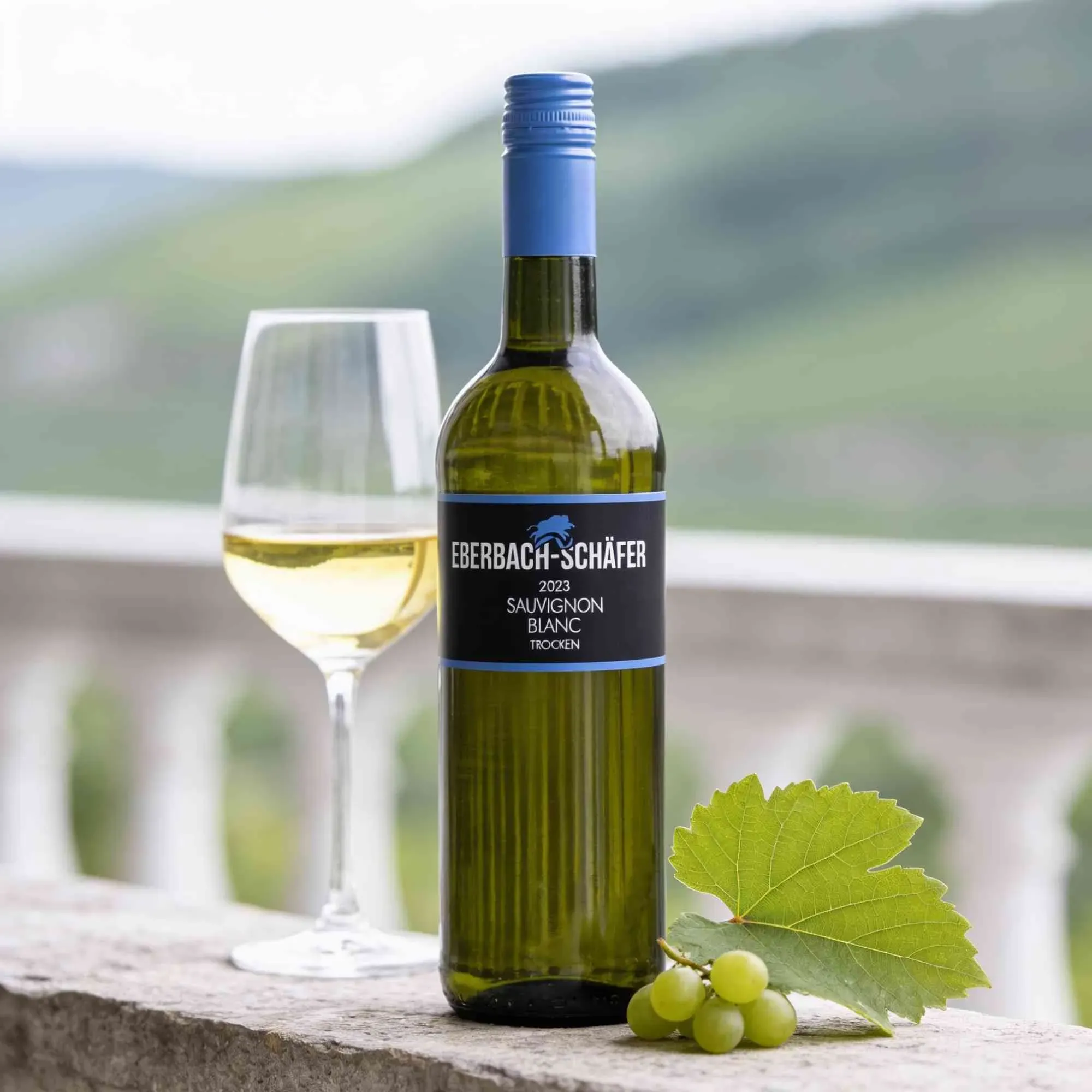 Weingut Eberbach-Schäfer 2023 Eberbach-Schäfer Sauvignon Blanc 2023 Sauvignon Blanc Deutschland