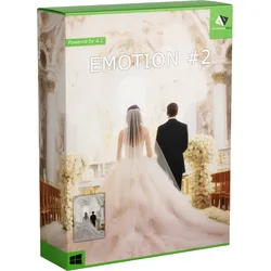 EMOTION #2