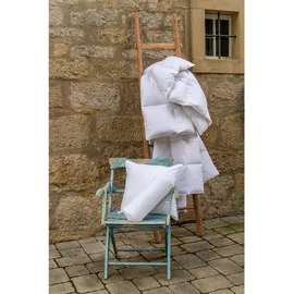 Centa-Star AMBIENTE medium