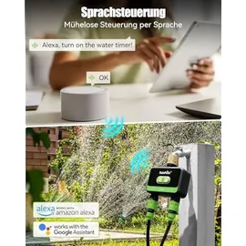 RAINPOINT Bewässerungscomputer 2 Ausgänge schwarz