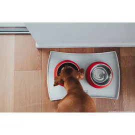 Hunter Melamin-Napf rot