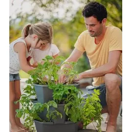 Gusta Garden Paul Potato Starter 3 Etagen