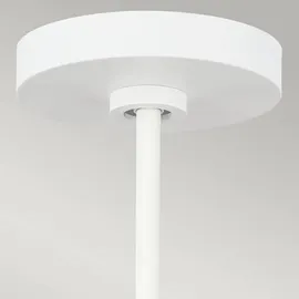Elstead Lighting Darwin 1-flg. 53,2 cm Metall weiß