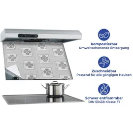 Wenko 2226020100 Flachfilter 2er